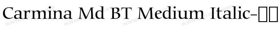 Carmina Md BT Medium Italic字体转换